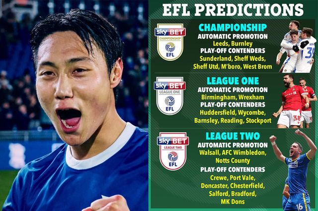 사진 = 버밍엄시티, 더 선