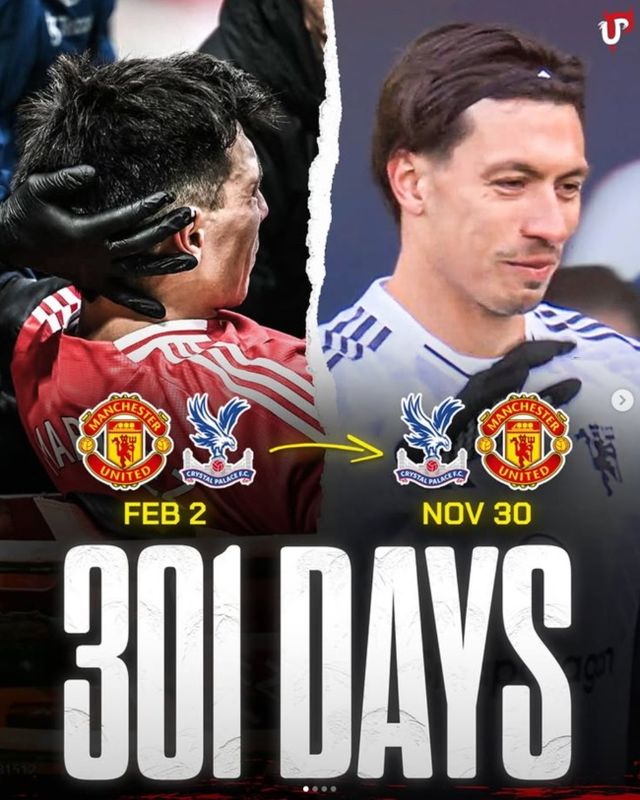 사진 = 유나이티드피플스티비