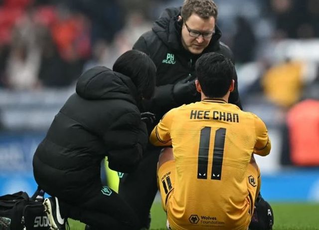 사진=몰리뉴 뉴스