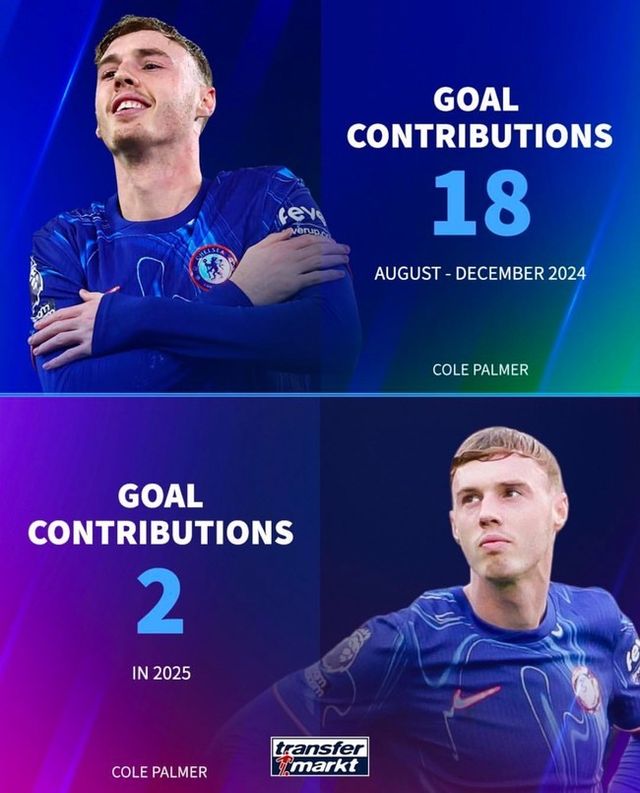 사진=트랜스퍼마크트