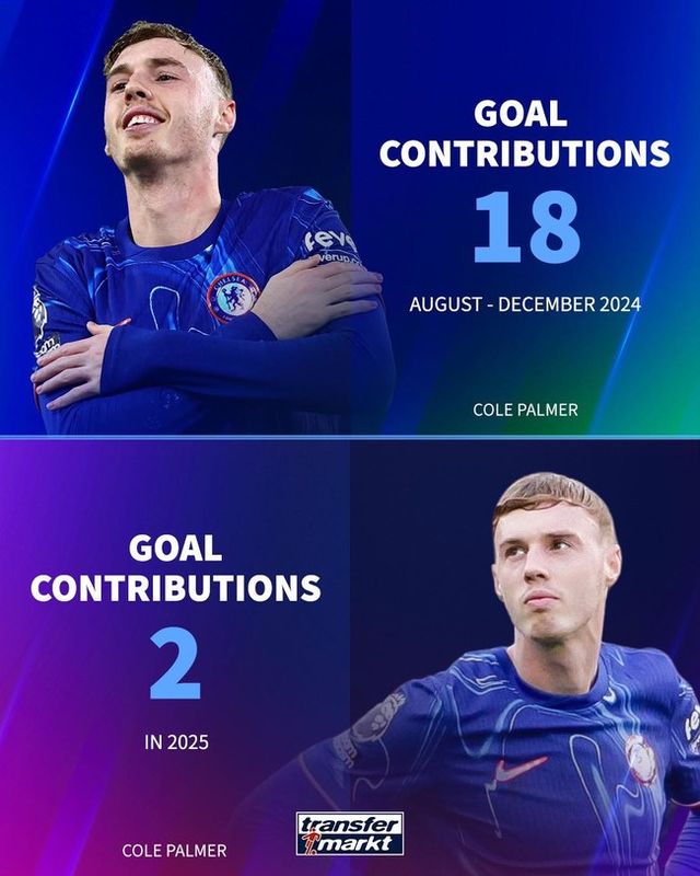 .사진=트랜스퍼마크트