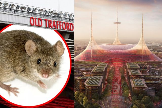 사진 = 맨체스터 이브닝 뉴스, 맨체스터 유나이티드