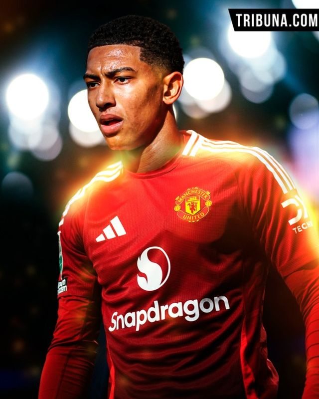 사진 = 트리뷰나