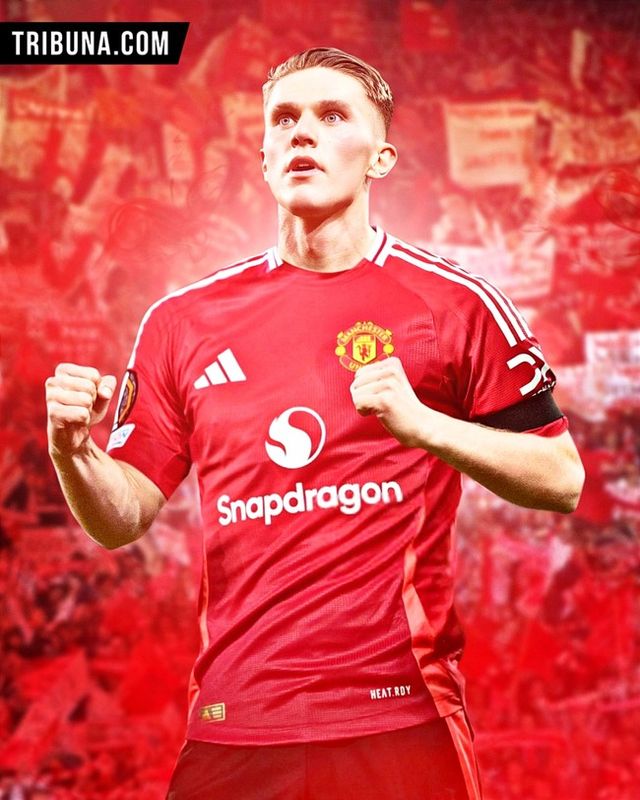 사진 = 트리뷰나