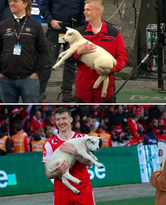 사진=스포츠 바이블