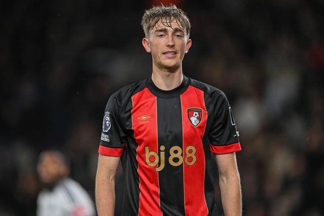 사진 = 플레텐버그 SNS