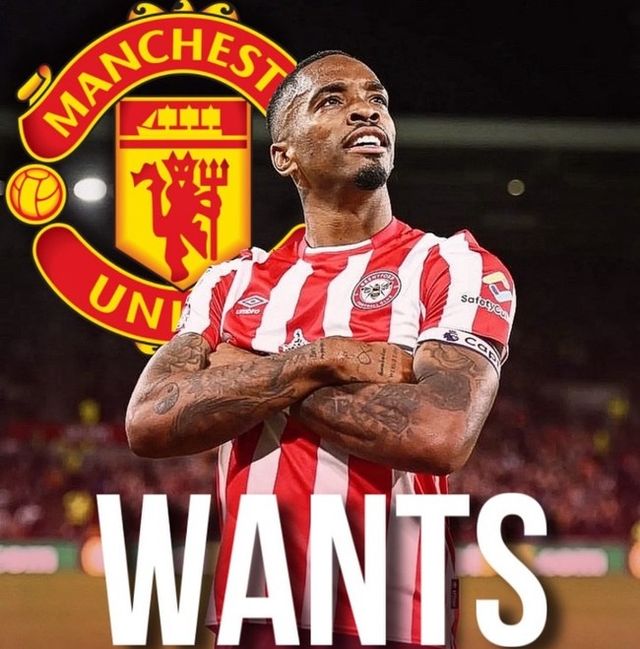 사진=the mutd view