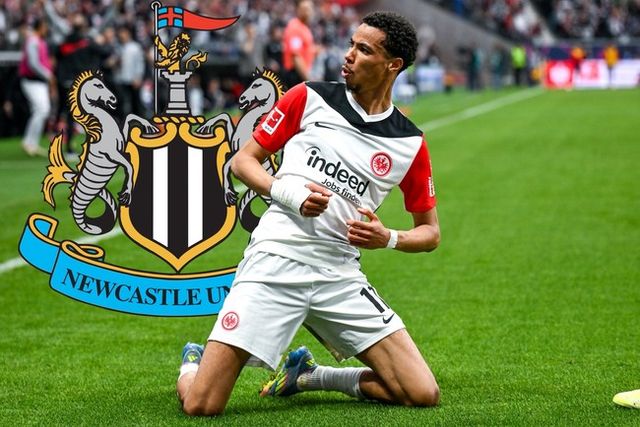 사진 = 플레텐버그