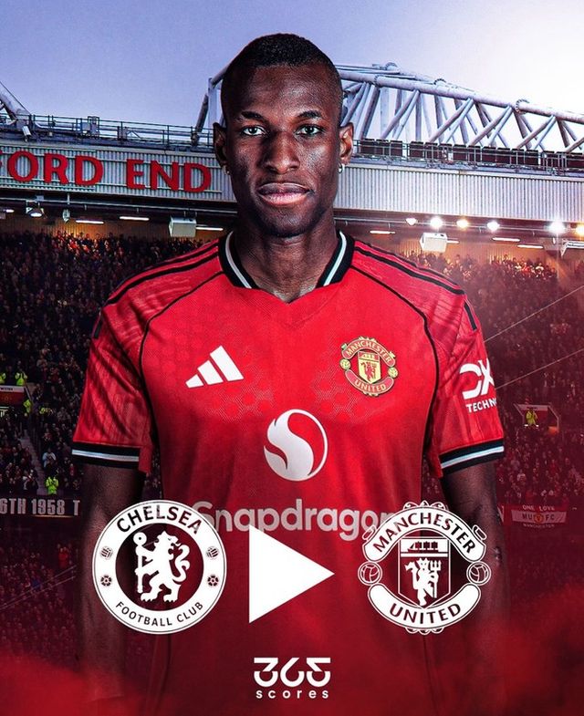 사진=365 스코어