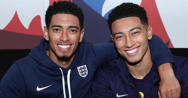 사진 = 노코모니아