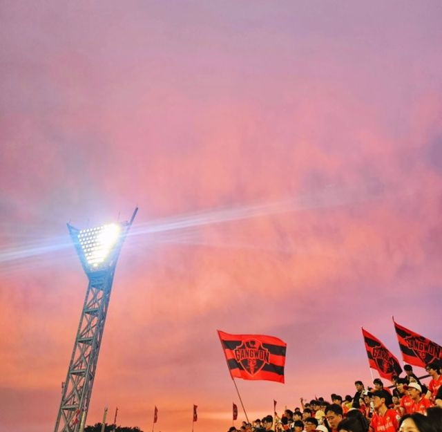 사진 = 강원FC 공식 서포터즈 나르샤 SNS