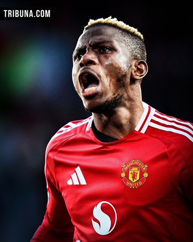 사진= 트리뷰나