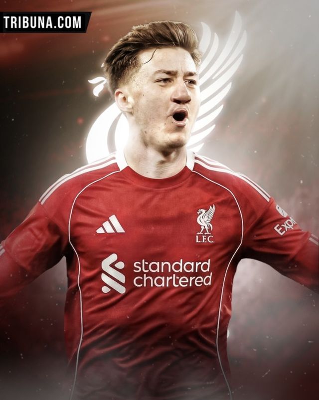 사진= 트리뷰나