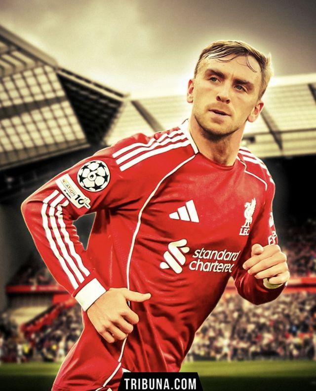 사진= 트리뷰나