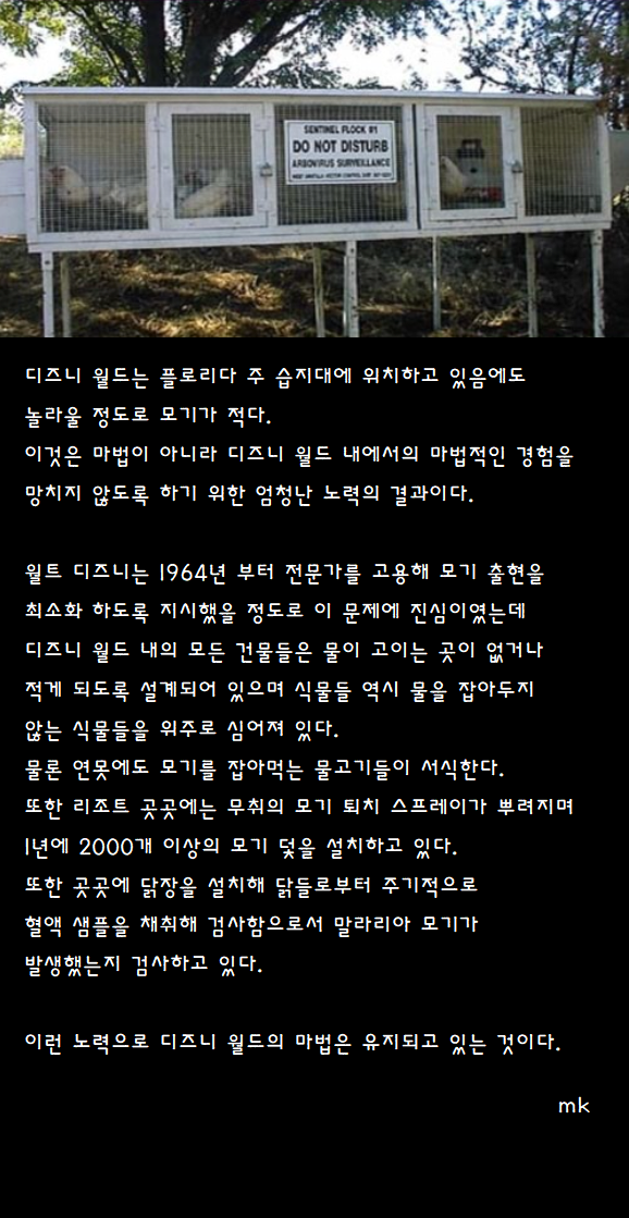 16977430035386.png
