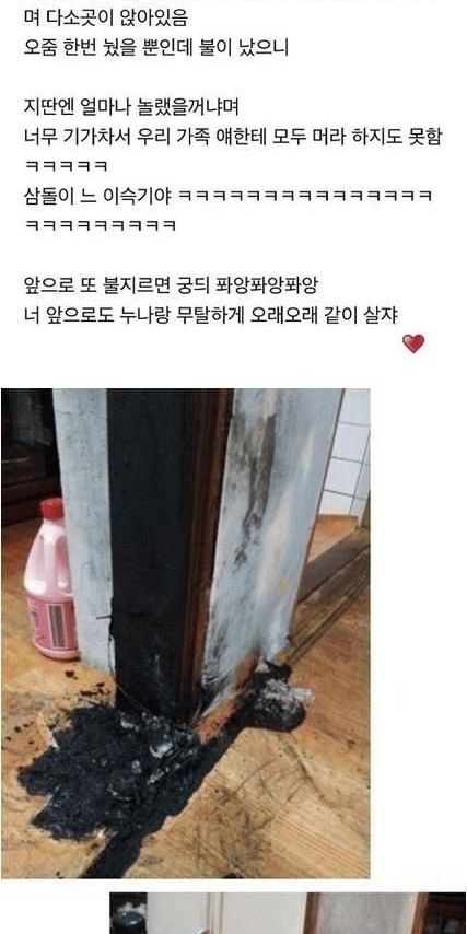67f738e4-2e89-43a9-98b8-319efb8295b7_1.jpg?area=BODY&amp;requestKey=H0cKa48w