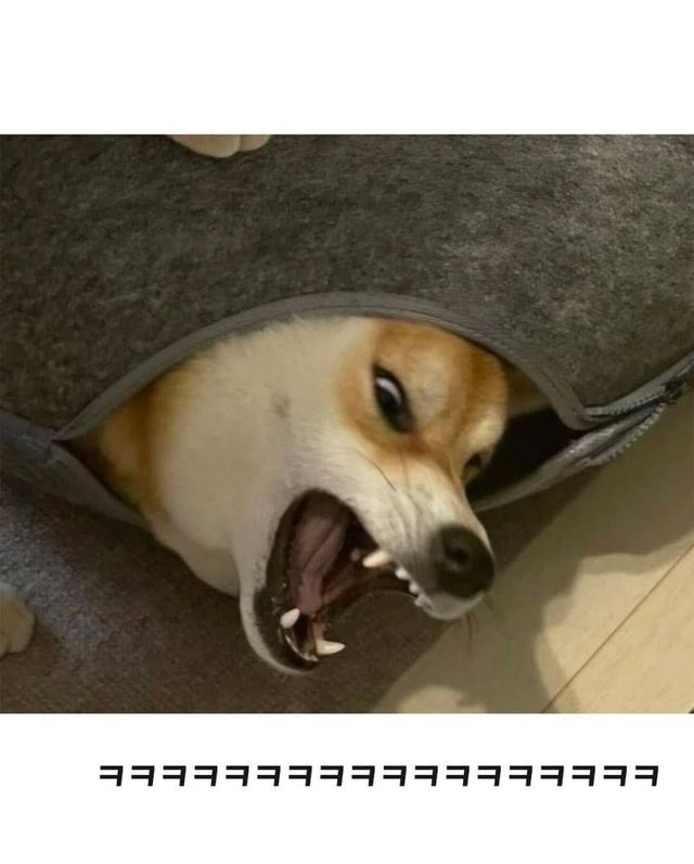 7765c45e-9b1f-4a0d-8089-018afd44121e.jpg?area=BODY&requestKey=H0cKa48w