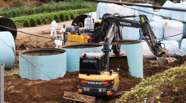 22일 오후 소 바이러스성 질병인 럼피스킨병이 발생한 경기도 평택시의 한 축산 농가에서 관계자들이 살처분 준비 작업을 하고 있다. ⓒ연합뉴