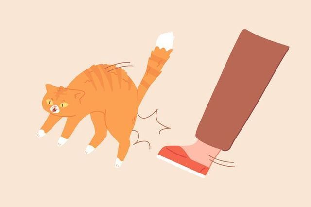 ⓒ게티이미지뱅크