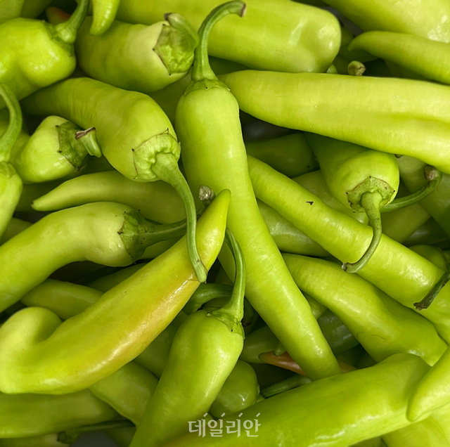 당조고추 ⓒ농림축산식품부