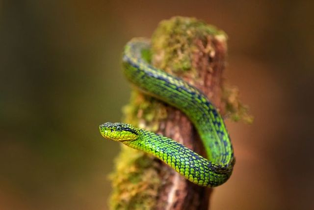 기사 이해를 돕기 위한 자료사진.ⓒ게티이미지뱅크