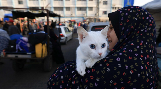 고양이 안고 집으로 돌아가는 가자지구 피란민. ⓒ칸유니스 AFP/연합뉴스