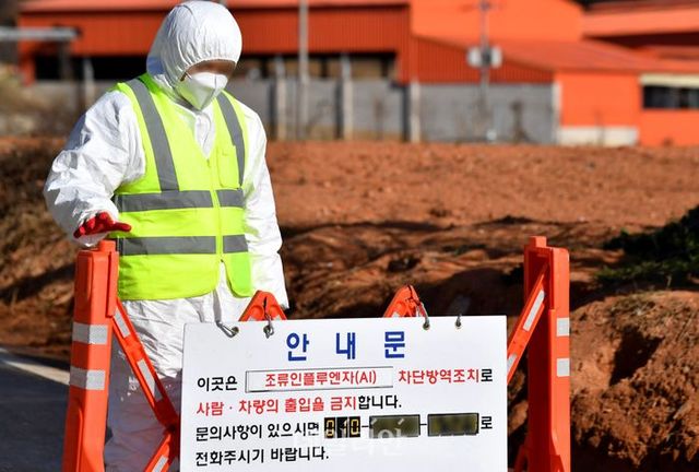 방역당국이 고병원성 조류인플루엔자(AI) 확진 사례가 확인된 전남 함평군 한 산란계 농장의 출입을 통제하고 있다. ⓒ뉴시스