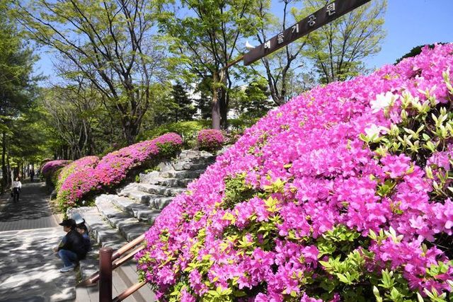 비둘기공원ⓒ시흥시 제공