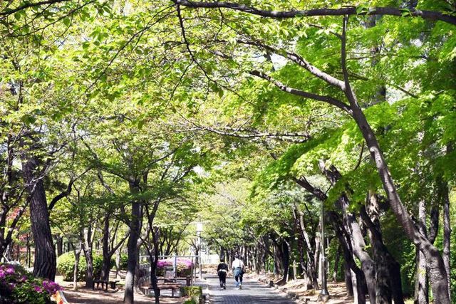 비둘기공원에서 싱그러운 봄날을 만끽해보자.ⓒ시흥시 제공