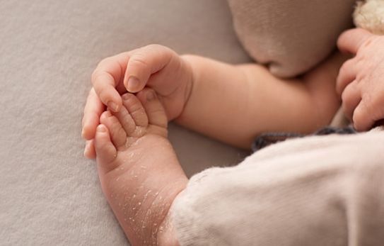 ⓒ게티이미지뱅크