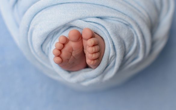 기사의 이해를 돕기 위한 자료 사ⓒgettyimagesBank