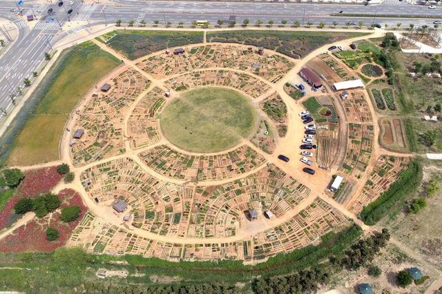 배곧텃밭나라ⓒ시흥시 제공