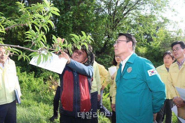 김인중 농림축산식품부 차관은 9일 충북 음성군 복숭아 농가를 방문해 냉해 피해현장을 점검했다.ⓒ농림축산식품부