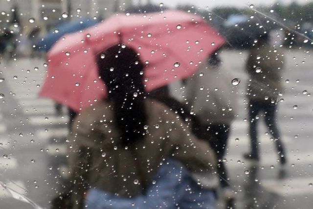 ⓒ데일리안 김민호 기자