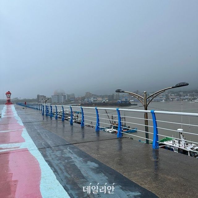 한국어촌어항공단 동남해지사가 포항 호미곶항에 설치한 안전난간 모습. ⓒ한국어촌어항공단