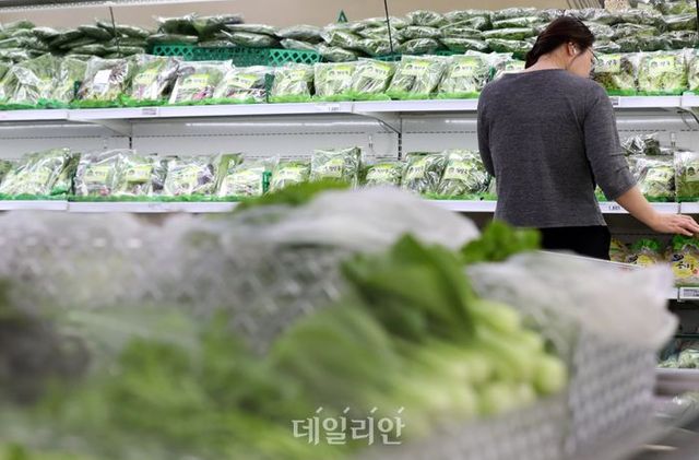 한 대형마트에서 시민들이 장을 보고 있다. ⓒ뉴시스