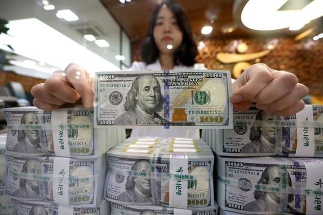 서울 중구 하나은행 위변조대응센터에서 직원이 달러를 정리하고 있다.ⓒ뉴시스