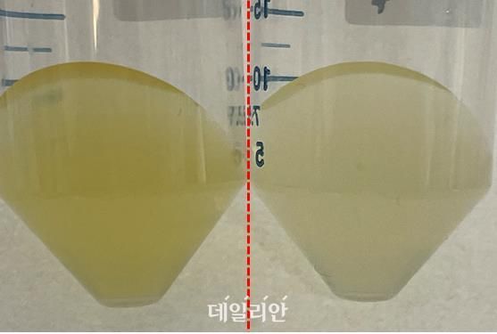 실험 조건에 따른 플라보박테리움 체니애의 대사산물 생산 비교 모습. 빛을 공급한 실험군(왼쪽)에서 대사 산물(베타 카로틴)의 생산이 늘어난 것을 볼 수 있다. ⓒ