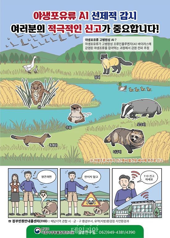 야생포유류 조류인플루엔자(AI) 차단 홍보자료. ⓒ국립야생동물질병관리원