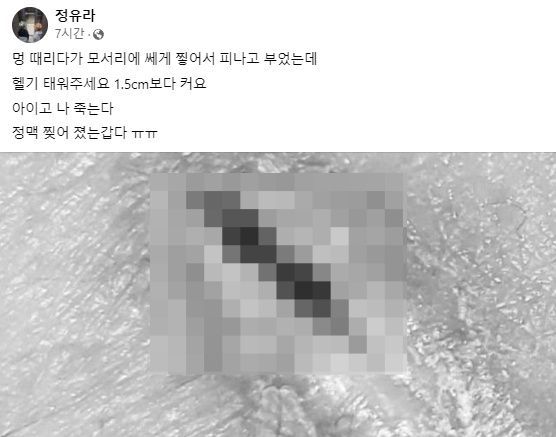 ⓒ정유라 씨 페이스북