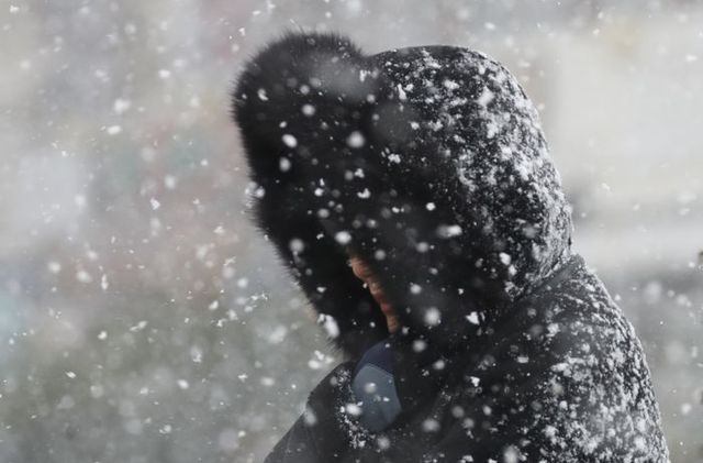 올겨울 최강 한파가 몰아친 지난달 21일 오전 제주시 용담동 거리에 많은 눈이 내리고 있다.ⓒ뉴시스