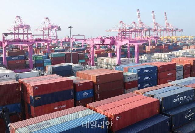 인천 연수구 인천신항 컨테이너 터미널 야적장에 컨테이너가 쌓여있다. ⓒ뉴시스