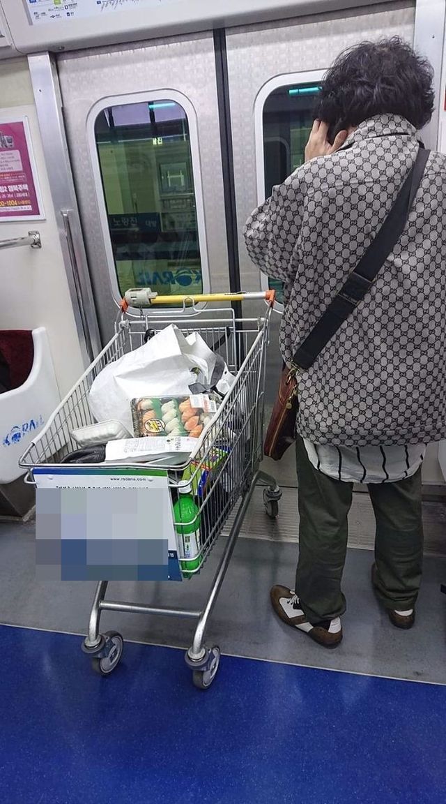 쇼핑을 마친 뒤 카트를 가지고 지하철 1호선에 탑승한 승객. 이 사진을 제보한 독자는 "해당 승객이 당연하다는 듯이 아무 망설임 없이 카트를 가지고 탔다"며 "아주 익숙하게 행동해 이런 걸 여러 번 해본 듯 했다"고 전했다. ⓒ데일리안 김인희 기자