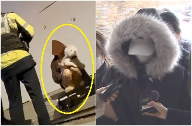 지난 3일 새벽 서울 강남구 논현동에서 발생한 음주운전 사망 사고 이후 강아지를 안고 있는 가해 운전자 안예송씨. 오른쪽 사진은 5일 영장실질심사에 출석한 안씨ⓒ유튜브 채널 