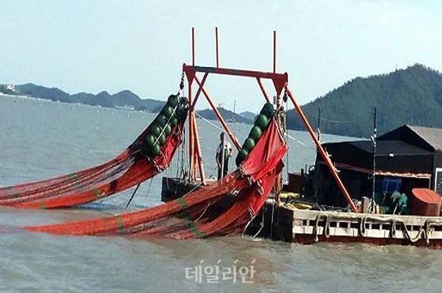 전남 목포 인근 해상에서 어민들이 실뱀장어 조업을 하고 있다. ⓒ뉴시스