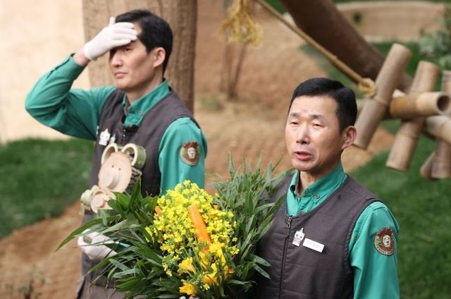 3일 오전 경기 용인시 에버랜드 판다월드에서 다음 달 중국으로 돌아가는 자이언트 판다 