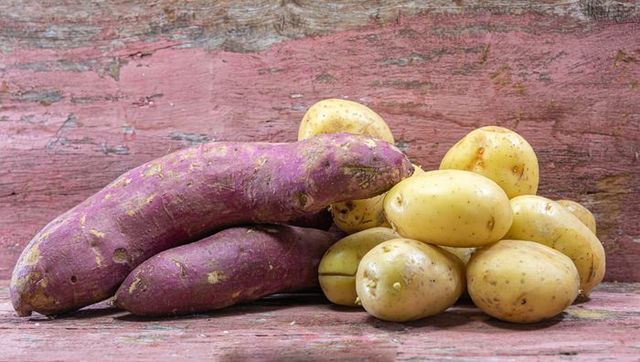 ⓒ게티이미지뱅크