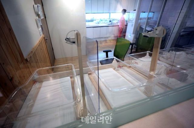 경기도 안양시내 한 산후조리원 신생아실. ⓒ뉴시스