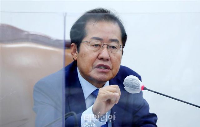 홍준표 대구시장 ⓒ데일리안 홍금표 기자