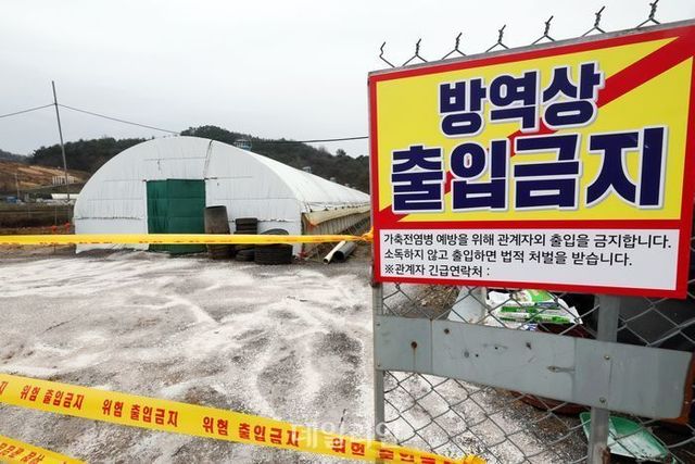 지난 1월 광주 남구 원산동 한 기러기 농장에서 고병원성 조류인플루엔자(AI)가 확진돼 출입이 통제되고 있다. ⓒ연합뉴스